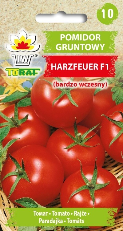 Pomidor gruntowy Harzfeuer F1 (bardzo wczesny)