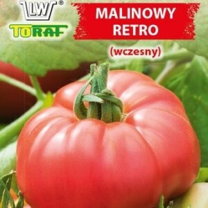 Pomidor gruntowy Malinowy Retro