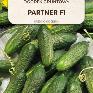 Ogórek partenokarpiczny PARTNER F1 gruntowy średnio wczesny