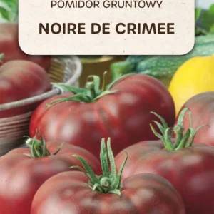 Pomidor Noire de Crimee Czarny Książe gruntowy średnio wczesny