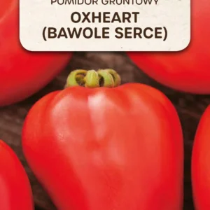 Pomidor OXHEART BAWOLE SERCE duże owoce
