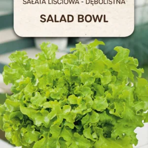 Sałata liściowa dębolistna SALAD BOWL zielona