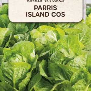 Sałata rzymska PARRIS ISLAND COS wiosna/lato