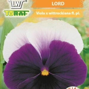 Bratek wielkokwiatowy Lord