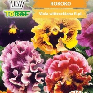 Bratek wielkokwiatowy Rokoko