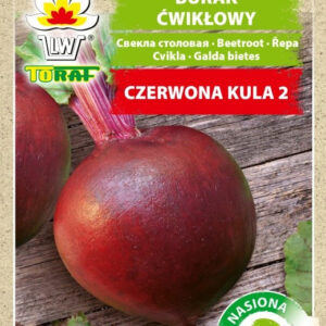 Burak ćwikłowy Czerwona Kula 2 - Taśma