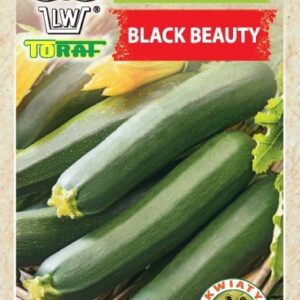 Dynia zwyczajna - Cukinia Black Beauty