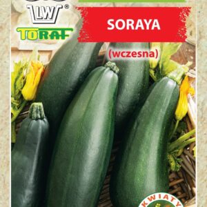 Dynia zwyczajna – Cukinia Soraya (wczesna)