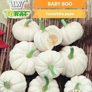 Dynia ozdobna Baby Boo