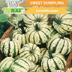 Dynia ozdobna - Sweet Dumpling