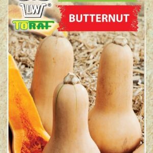 Dynia piżmowa Butternut