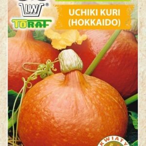 Dynia Uchiki Kuri Hokkaido