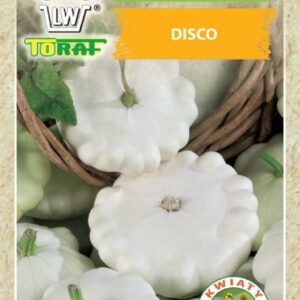 Dynia zwyczajna – Patison Disco