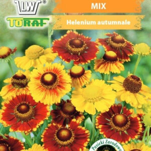 Dzielżan jesienny mix