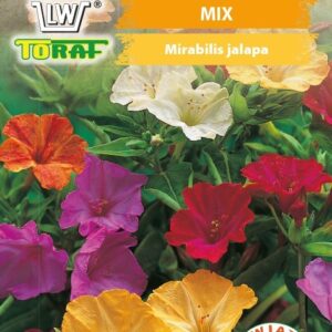 Dziwaczek wielobarwny