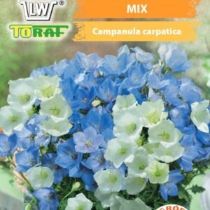 Dzwonek karpacki mix