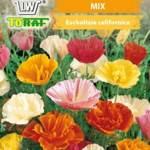 Eszolcja kalifornijska mix