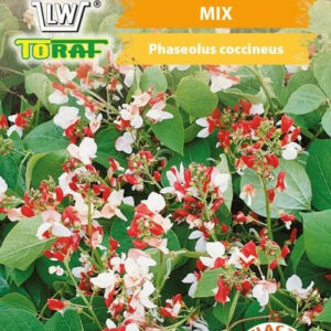 Fasola ozdobna MIX