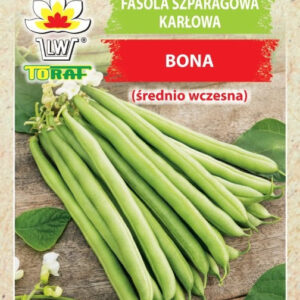Fasola szparagowa karłowa Bona (średnio wczesna)