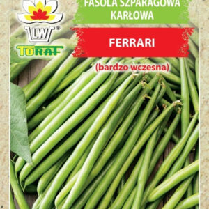 Fasola szparagowa karłowa zielonostrąkowa FERRARI (bardzo wczesna)