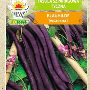 Fasola szparagowa tyczna Blauhilde