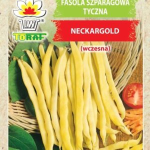 Fasola szparagowa tyczna Neckargold