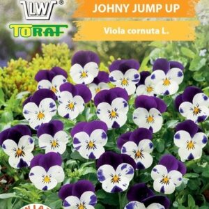 Fiołek rogaty JOHNY JUMP UP słodki smak, do sałatek