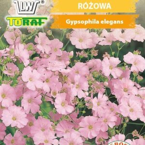 Gipsówka wytworna - różowa