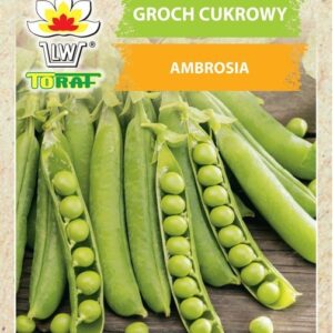 Groch cukrowy Ambrosia wczesny, można jeść całe strączki