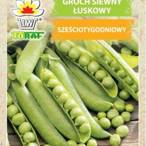 Groch siewny łuskowy Sześciotygodniowy