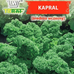 Jarmuż Kapral (średnio wczesny)