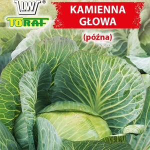 Kapusta głowiasta KAMIENNA GŁOWA (późna)