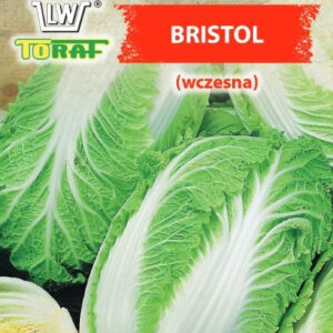 Kapusta pekińska Bristol (wczesna)