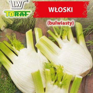 Koper włoski bulwiasty FENKUŁ FINO Dulce de Florencia