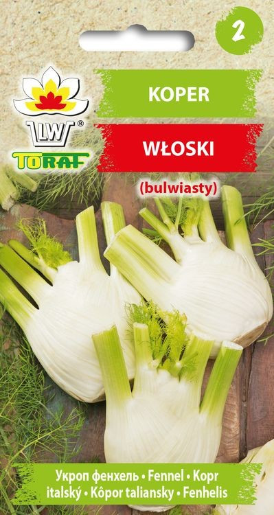 Koper włoski bulwiasty FENKUŁ FINO Dulce de Florencia