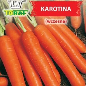 Marchew jadalna Karotina (wczesna)