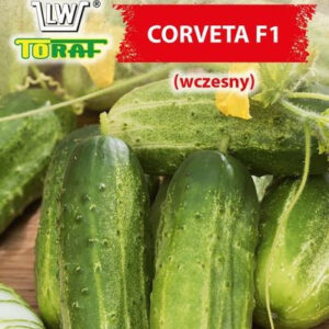Ogórek gruntowy CORVETA F1 (wczesny)