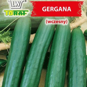 Ogórek gruntowy GERGANA (wczesny)