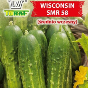 Ogórek gruntowy WISCONSIN SMR 58 (średnio wczesny)