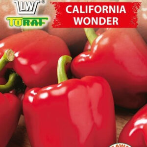 Papryka słodka CALIFORNIA WONDER