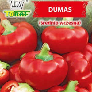 Papryka słodka DUMAS (średnio wczesna)
