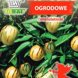 Pepino ogrodowe (wieloletnie)