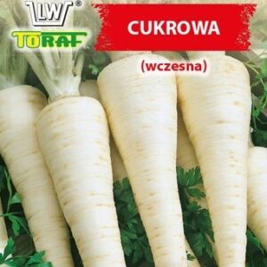 Pietruszka korzeniowa CUKROWA wczesna Wiosenna/Jesienna