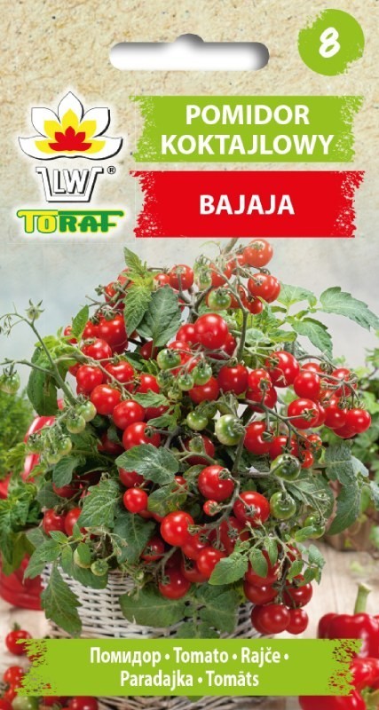 Pomidor BAJAJA