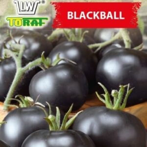 Pomidor gruntowy BLACKBALL czarny