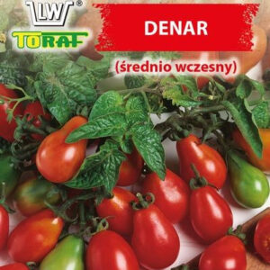 Pomidor karłowy DENAR (średnio wczesny)