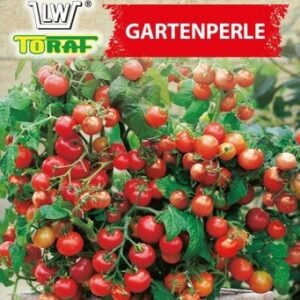 Pomidor koktajlowy Gartenperle