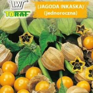 Rodzynek Brazylijski Physalis peruviana - superfoods