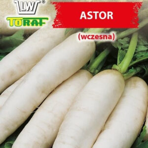 Rzodkiew ASTOR biała, podłużna, wczesna