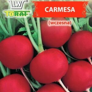 Rzodkiewka Carmesa wczesna okrągła czerwona Wiosna/Lato